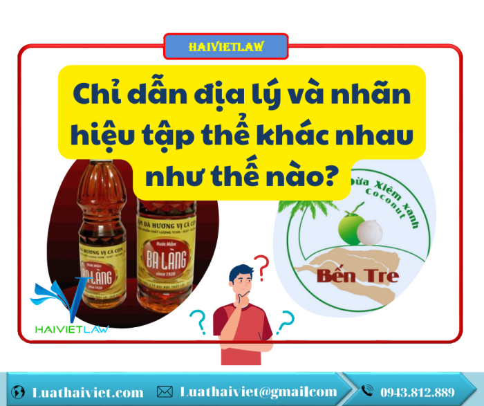 Chỉ dẫn địa lý và nhãn hiệu tập thể khác nhau như thế nào?