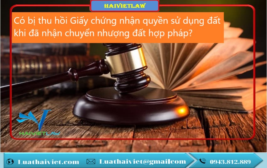 Có bị thu hồi Giấy chứng nhận quyền sử dụng đất khi đã nhận chuyển nhượng đất hợp pháp?